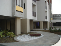 green_image14